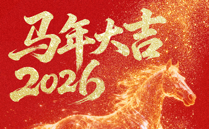 关于2026年春节期间个人送保服务暂停通知